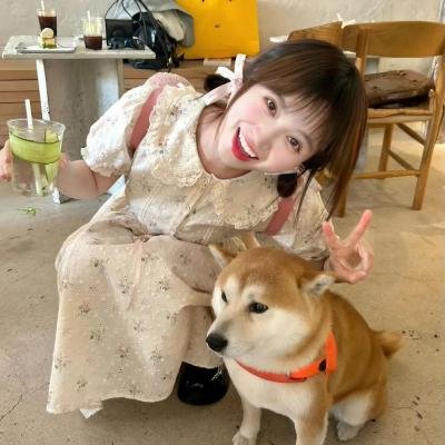 盲证 海报